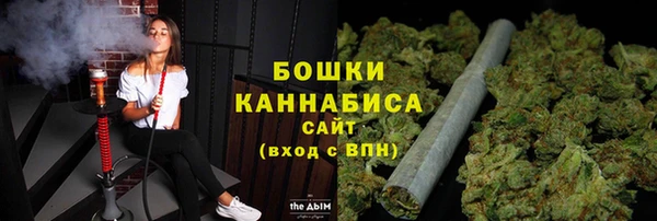винт Богданович