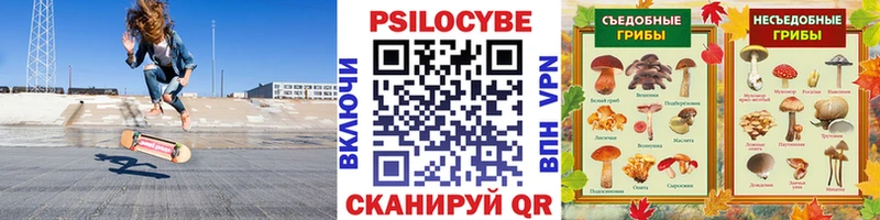 Купить  Иноземцево  Галлюциногенные грибы Psilocybine cubensis 